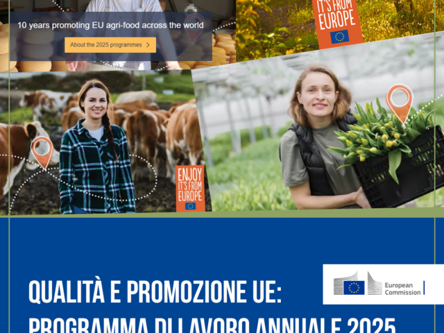 QUALITÀ E PROMOZIONE UE: PROGRAMMA DI LAVORO ANNUALE 2025