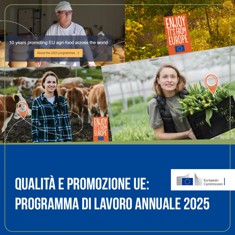 QUALITÀ E PROMOZIONE UE: PROGRAMMA DI LAVORO ANNUALE 2025